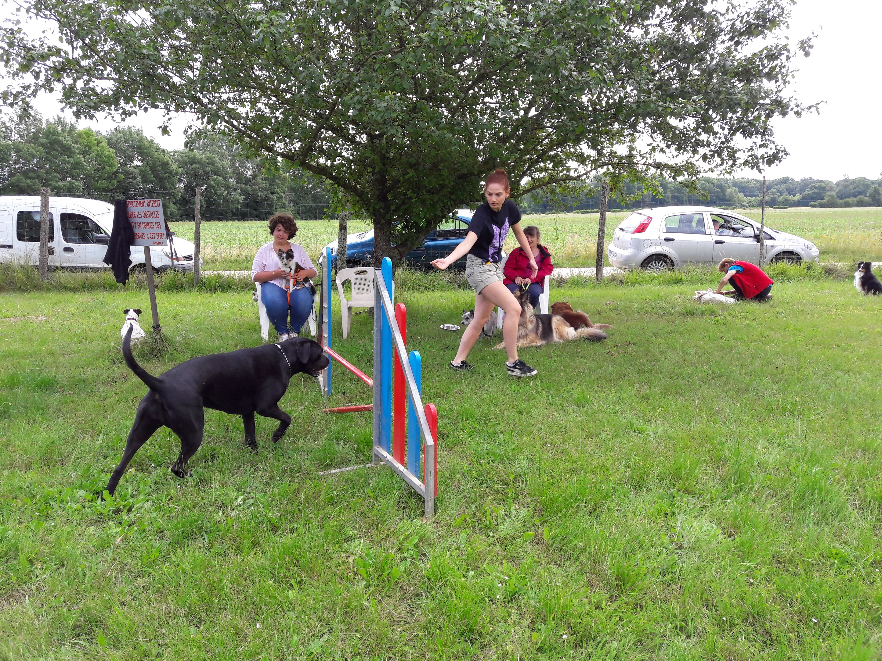 Séance du 22 Juin 2019