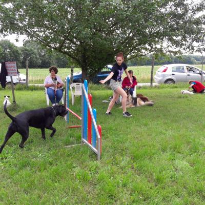 Séance du 22 Juin 2019