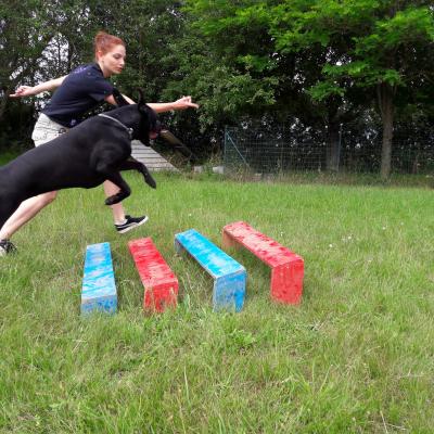 Séance du 22 Juin 2019