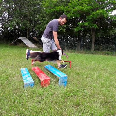 Séance du 22 Juin 2019