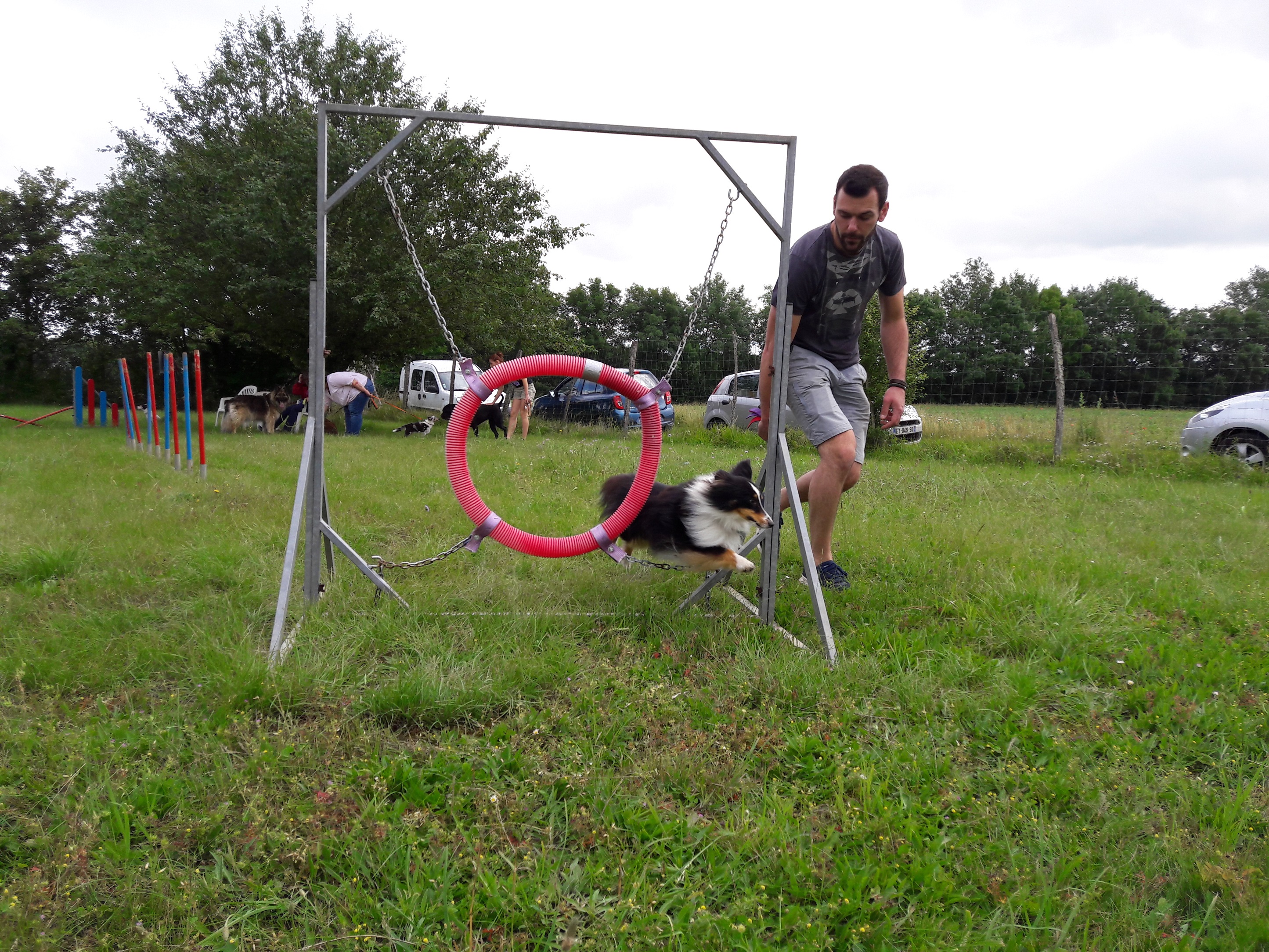 Séance du 22 Juin 2019