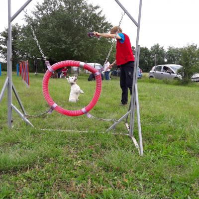 Séance du 22 Juin 2019