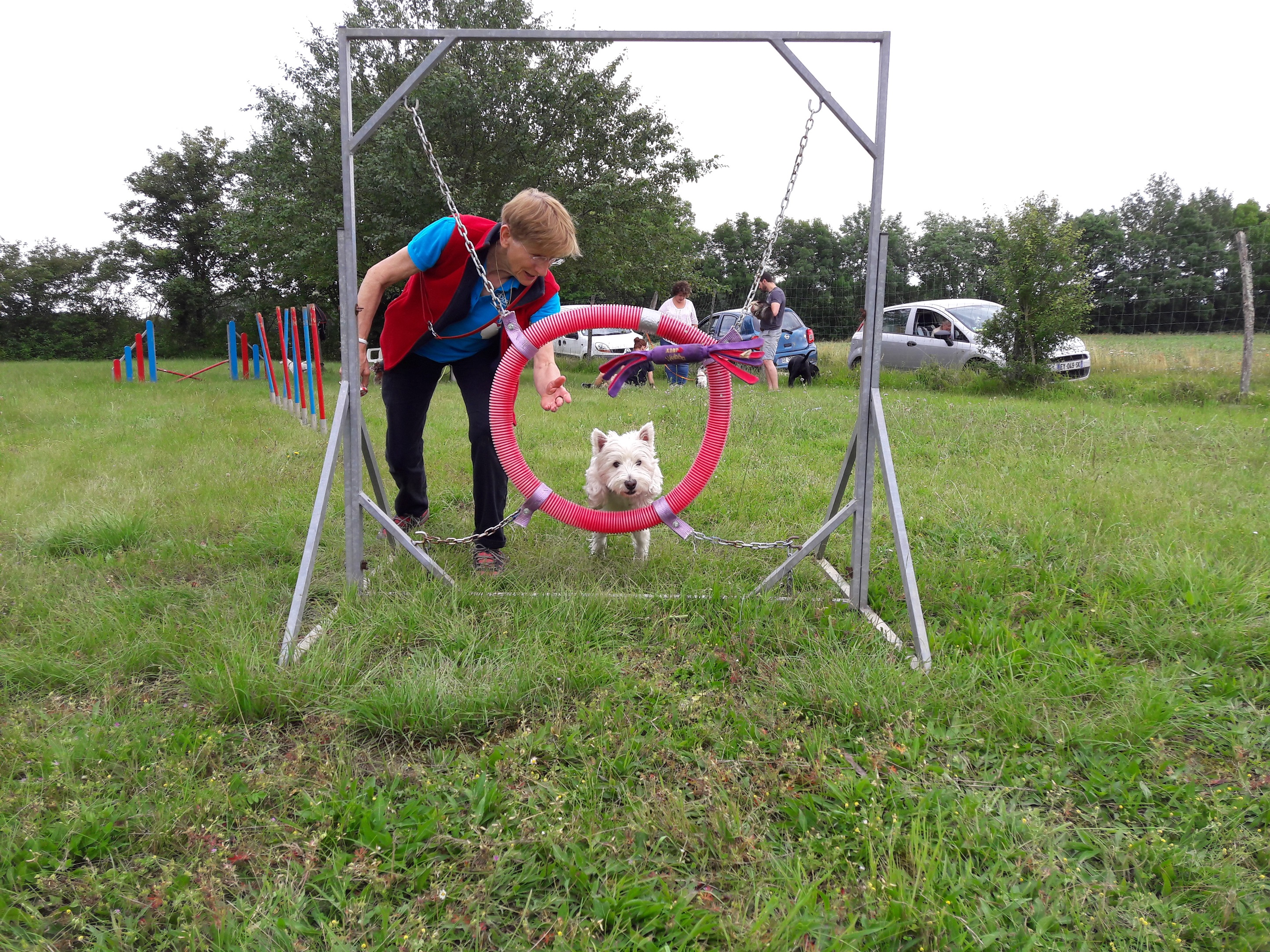 Séance du 22 Juin 2019