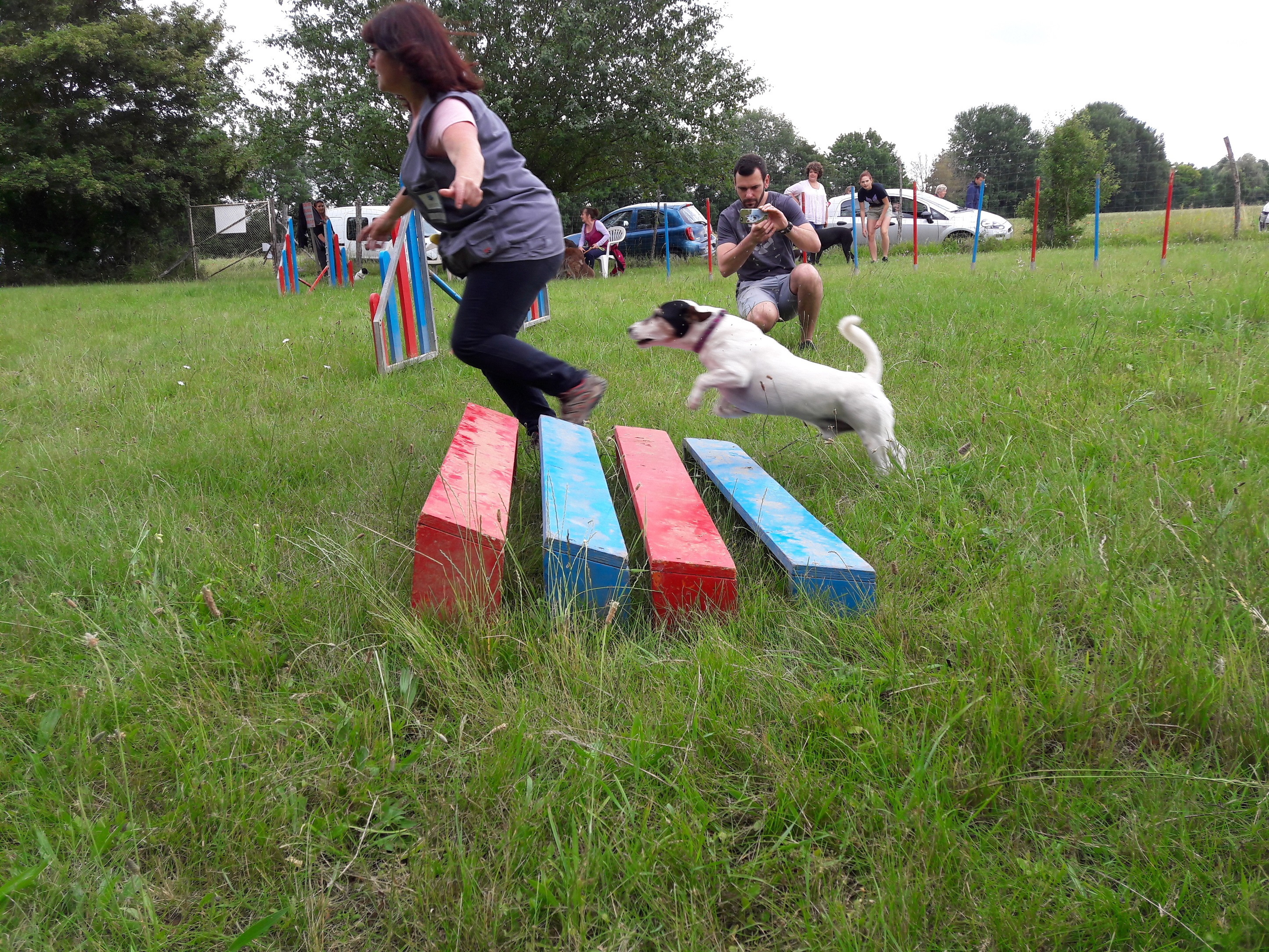 Séance du 22 Juin 2019