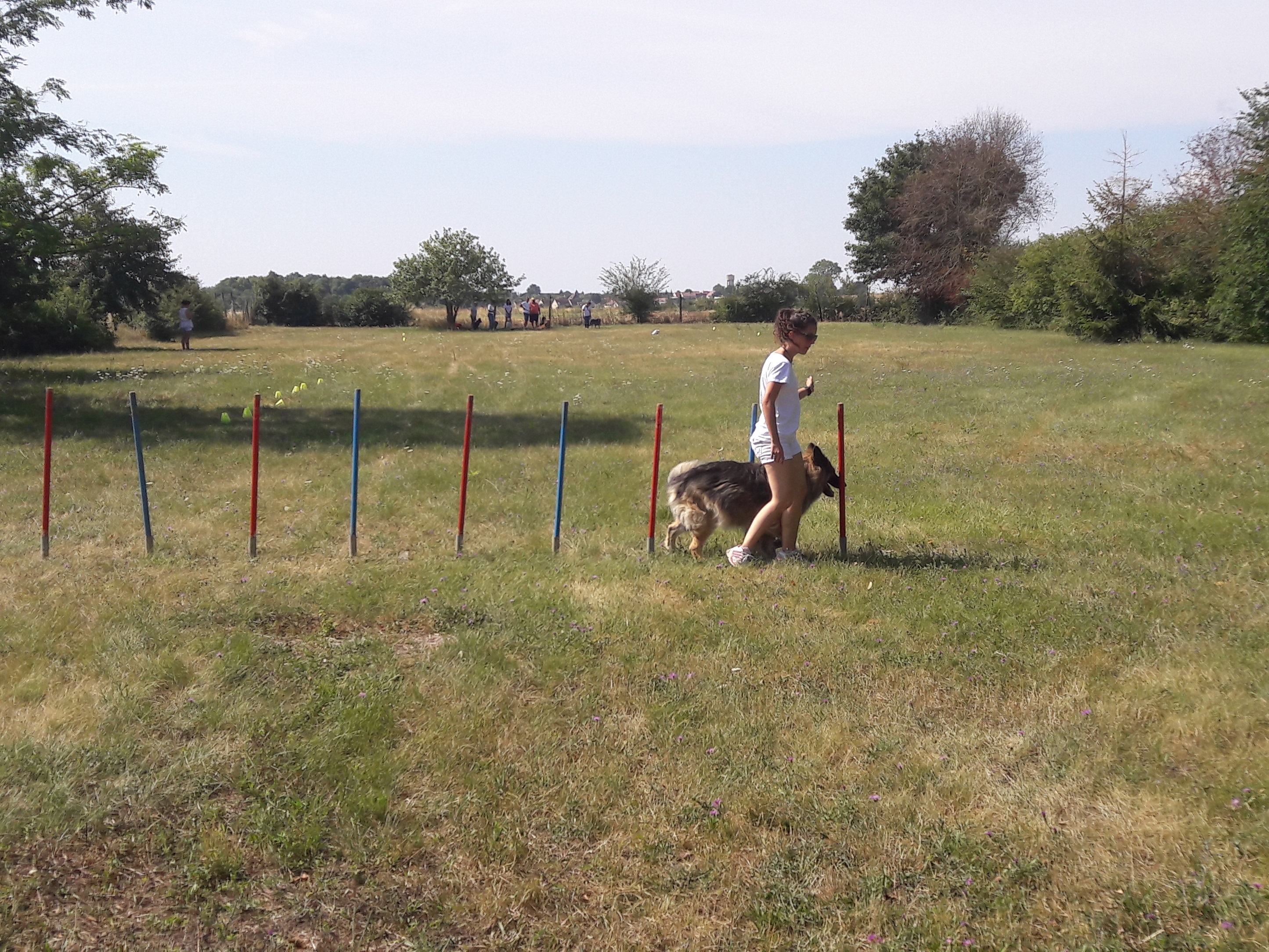 Parcours d'Havane