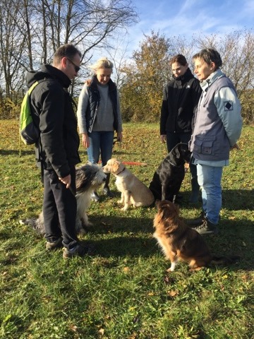 Carla, Maïa, Pomme, Nikita