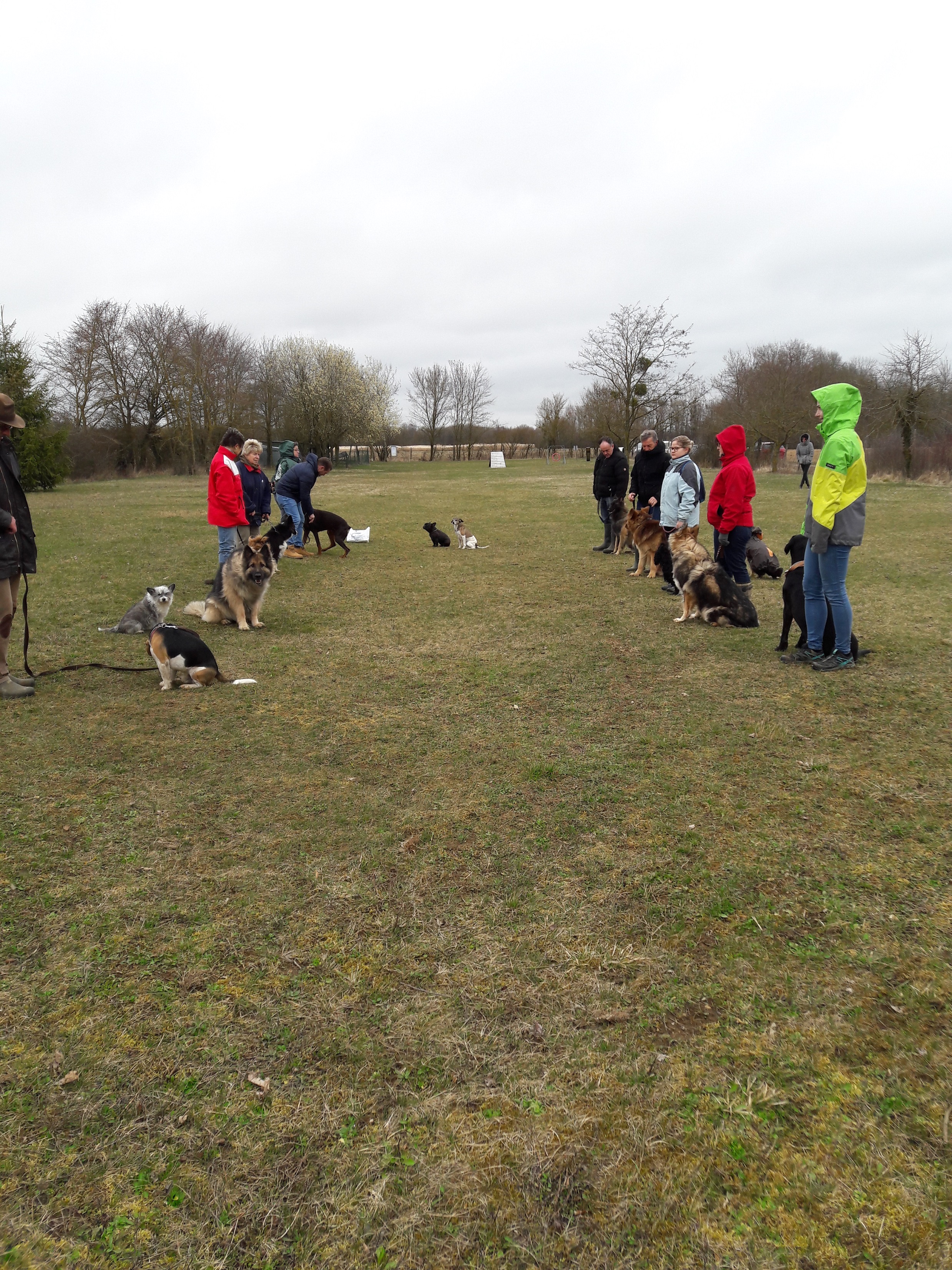 COURS COLLECTIF