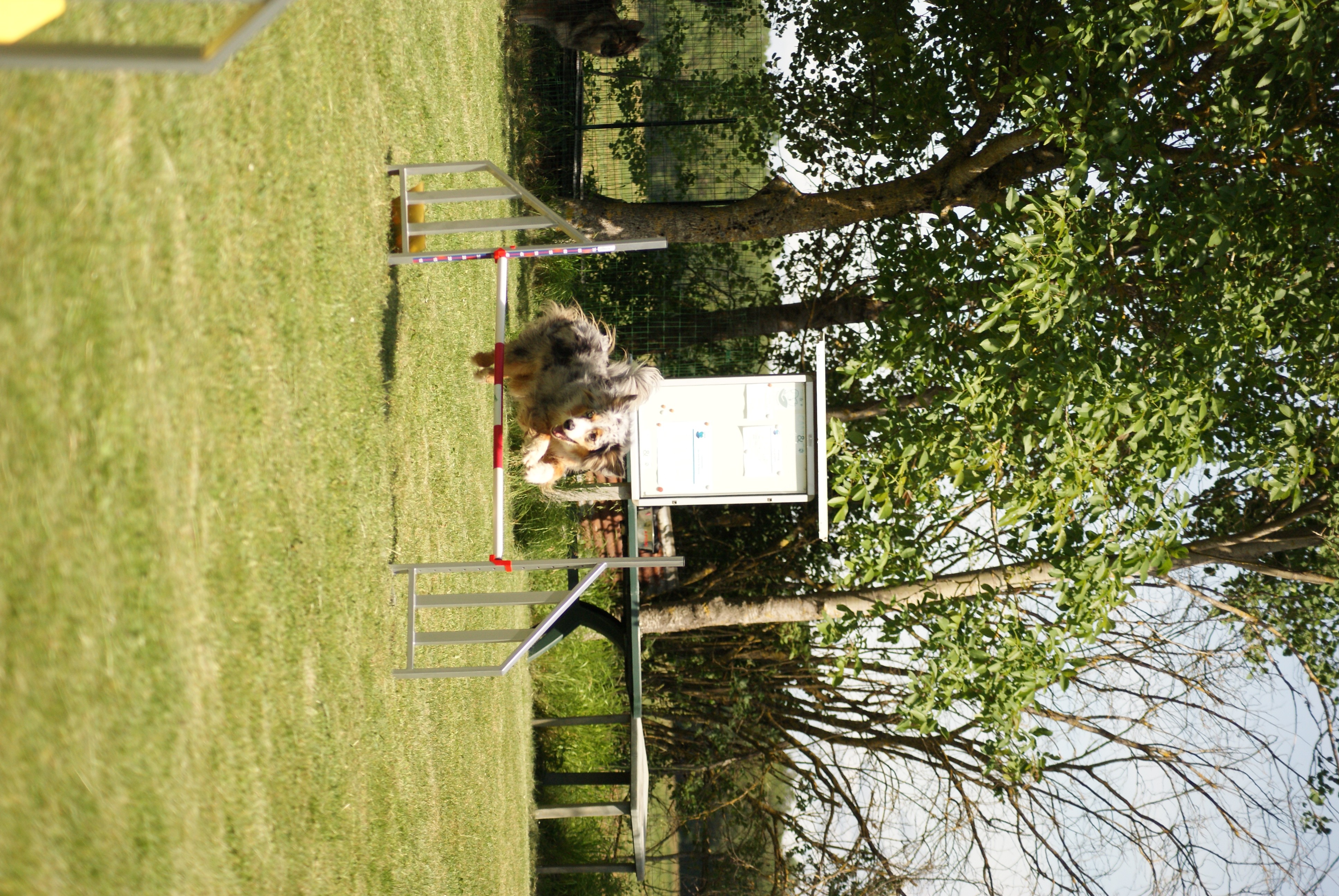 Dsc03662
