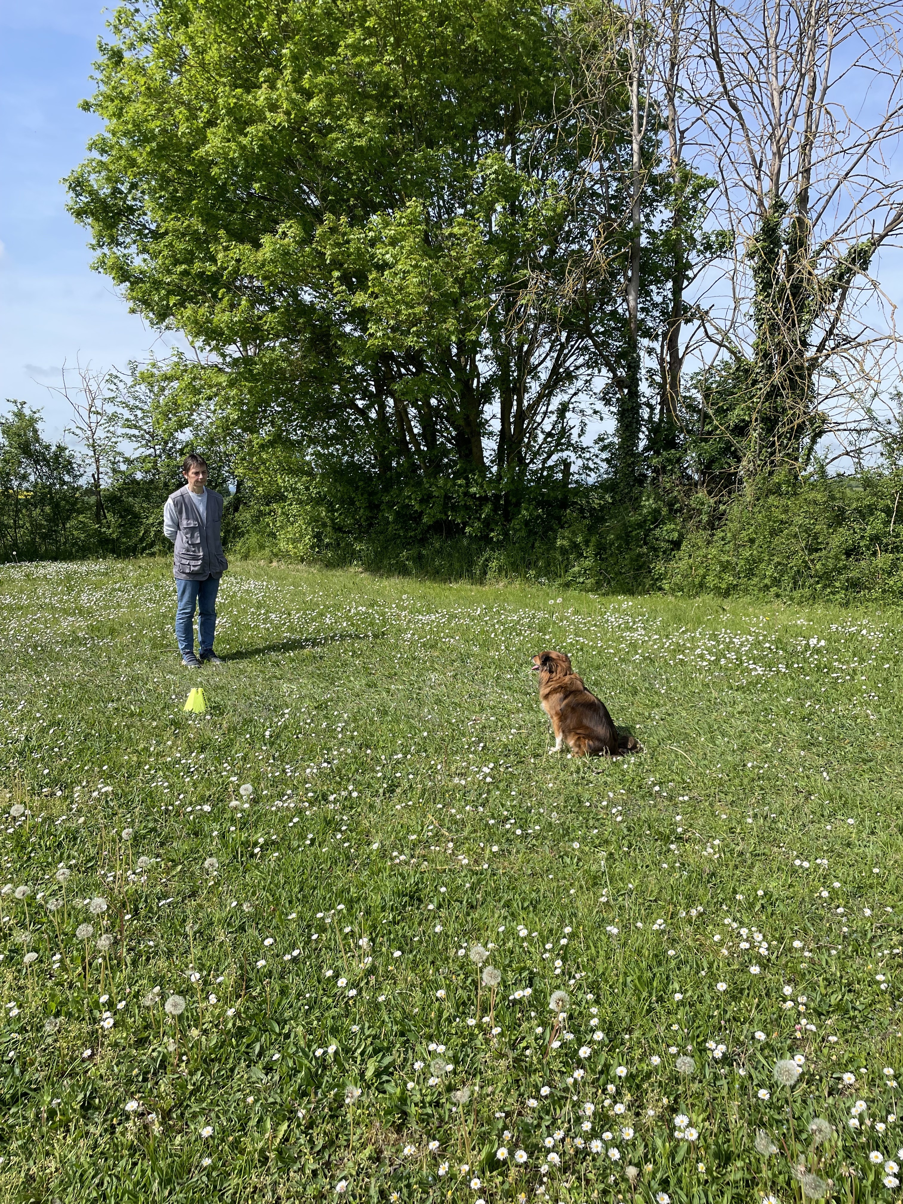 CARLA en pas bouger