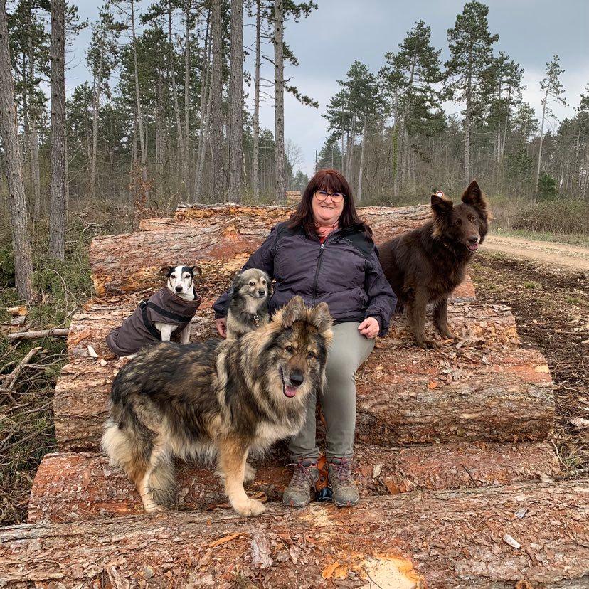 SYLVIE, CALIE, FIDJI, GOLDIE & SAVANNAH